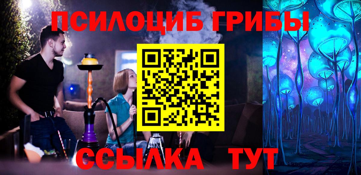 купить закладку  Галлюциногенные грибы прущие грибы  Вход с VPN  Северобайкальск 